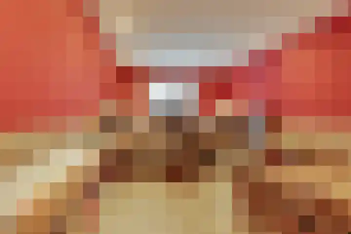 Beentjesgravenland 17 Nieuwleusen thumbnail 24