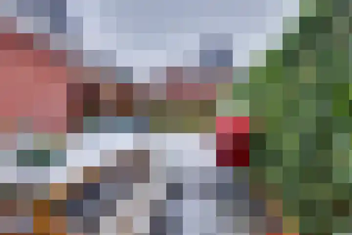 Beentjesgravenland 17 Nieuwleusen thumbnail 26