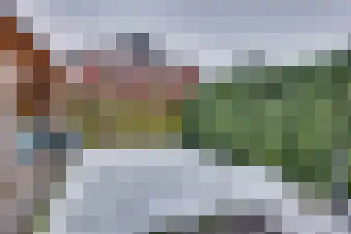 Beentjesgravenland 17 Nieuwleusen thumbnail 27