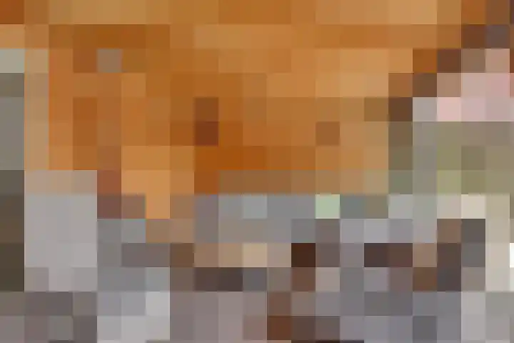 Beentjesgravenland 17 Nieuwleusen thumbnail 29