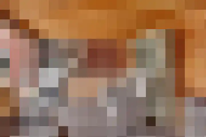 Beentjesgravenland 17 Nieuwleusen thumbnail 30
