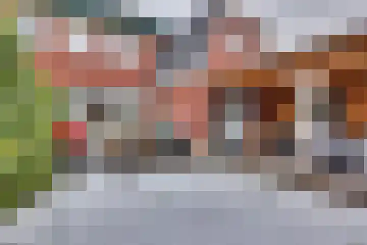 Beentjesgravenland 17 Nieuwleusen thumbnail 31