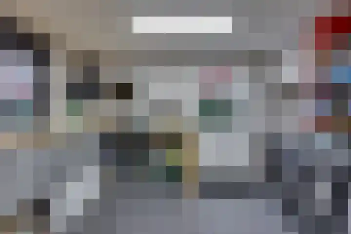 Beentjesgravenland 17 Nieuwleusen thumbnail 33