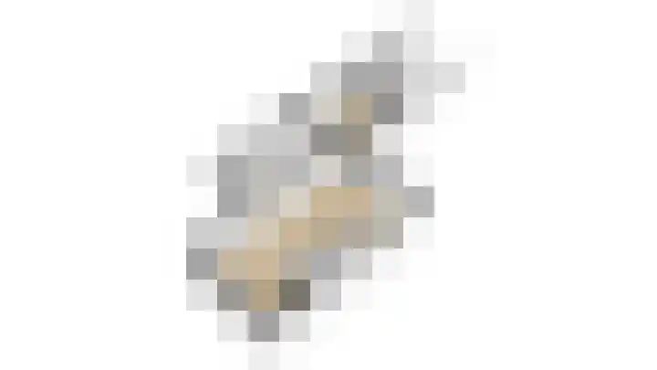 Beentjesgravenland 17 Nieuwleusen thumbnail 38