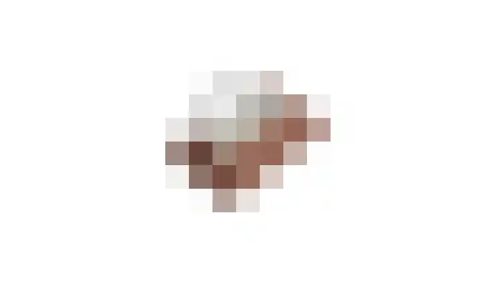 Beentjesgravenland 17 Nieuwleusen thumbnail 43