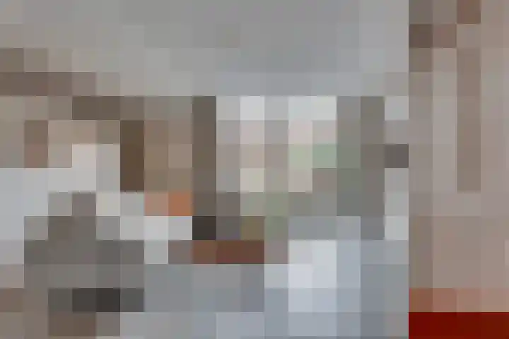 Beentjesgravenland 17 Nieuwleusen thumbnail 7