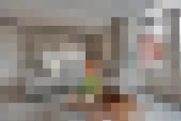 Beentjesgravenland 17 Nieuwleusen thumbnail 8