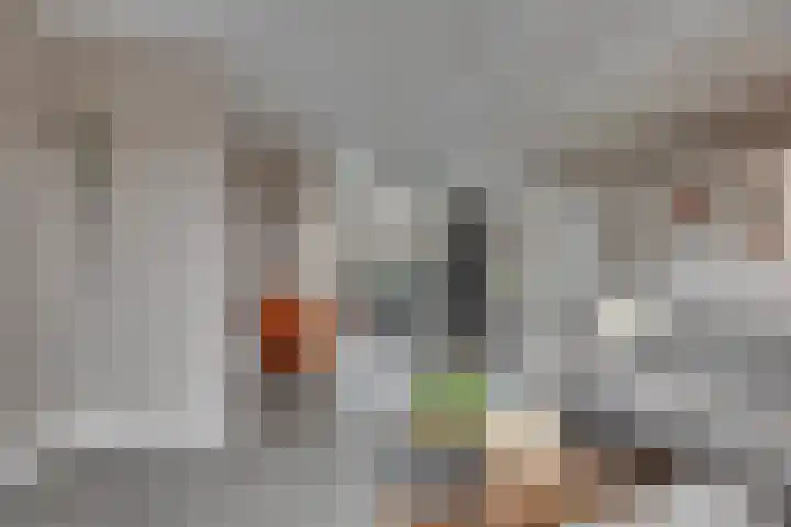 Beentjesgravenland 17 Nieuwleusen thumbnail 9