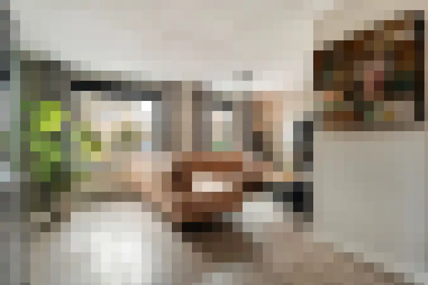 Beentjesgravenland 4 Nieuwleusen thumbnail 17