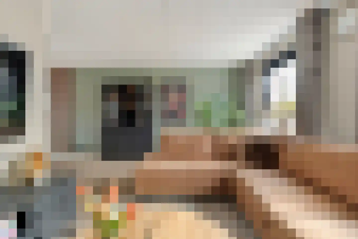Beentjesgravenland 4 Nieuwleusen thumbnail 18