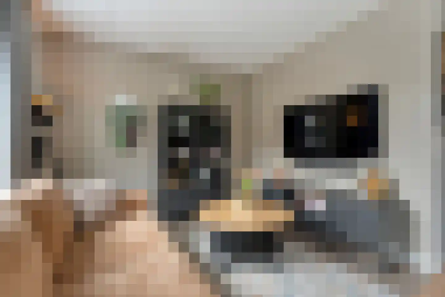 Beentjesgravenland 4 Nieuwleusen thumbnail 19