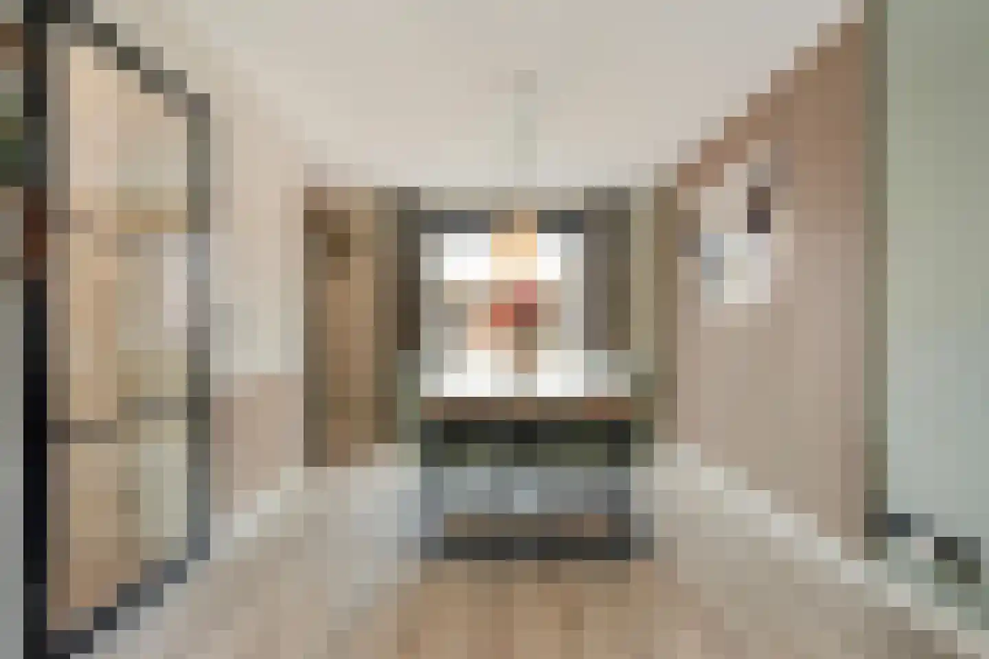 Beentjesgravenland 4 Nieuwleusen thumbnail 21