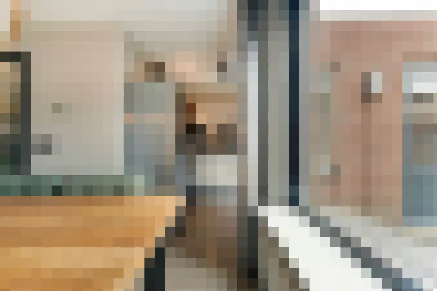 Beentjesgravenland 4 Nieuwleusen thumbnail 23