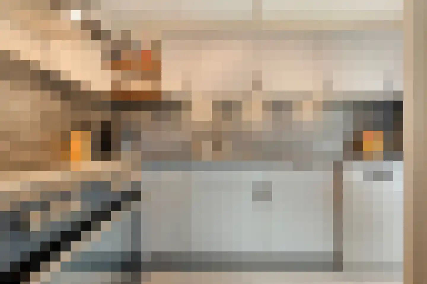 Beentjesgravenland 4 Nieuwleusen thumbnail 24