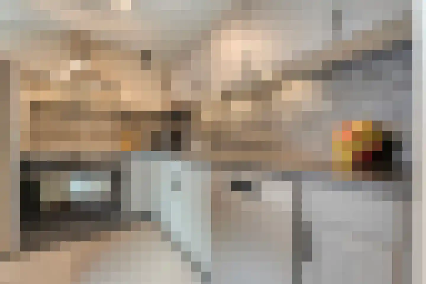 Beentjesgravenland 4 Nieuwleusen thumbnail 25