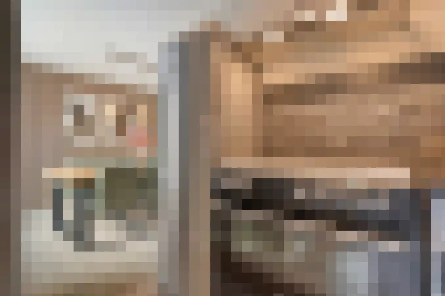 Beentjesgravenland 4 Nieuwleusen thumbnail 26