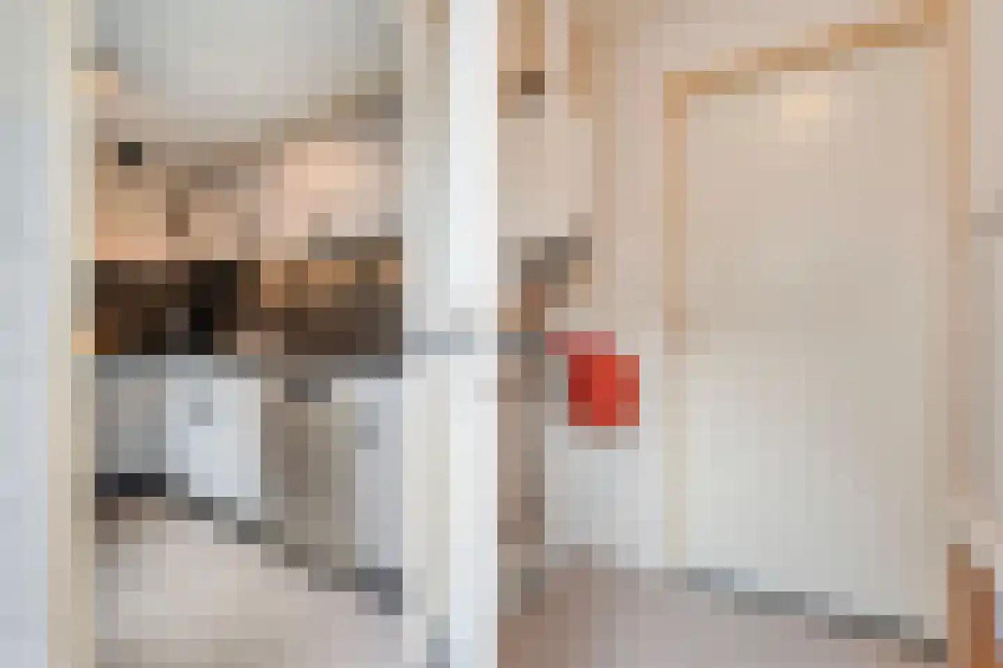 Beentjesgravenland 4 Nieuwleusen thumbnail 27