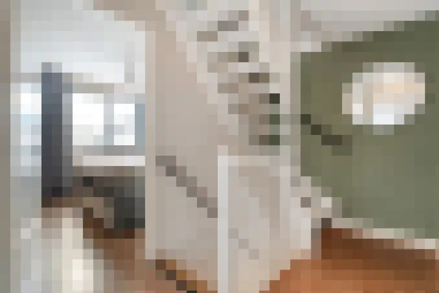 Beentjesgravenland 4 Nieuwleusen thumbnail 30