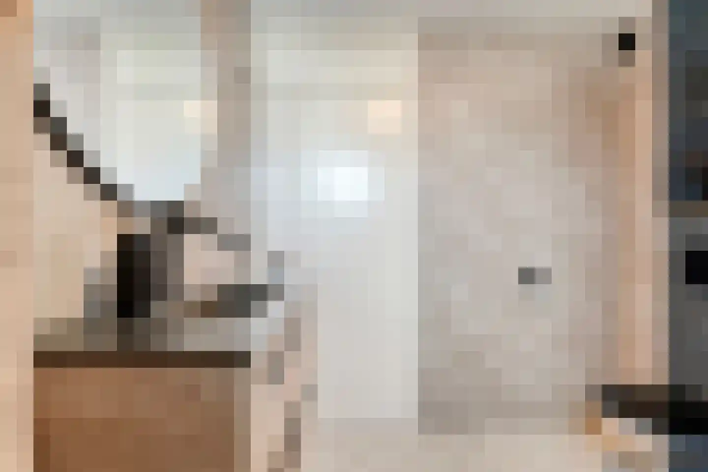 Beentjesgravenland 4 Nieuwleusen thumbnail 35