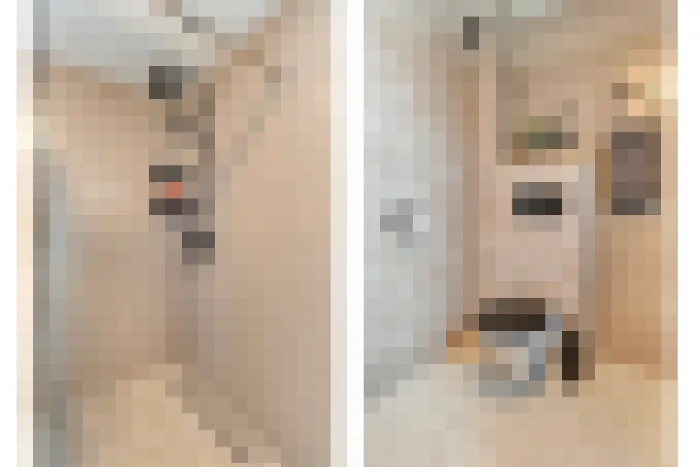 Beentjesgravenland 4 Nieuwleusen thumbnail 36