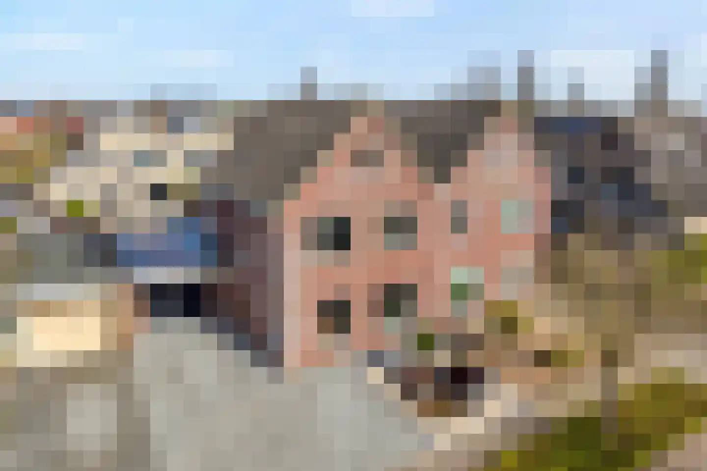 Beentjesgravenland 4 Nieuwleusen thumbnail 4