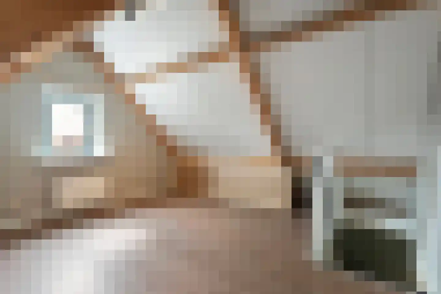 Beentjesgravenland 4 Nieuwleusen thumbnail 41