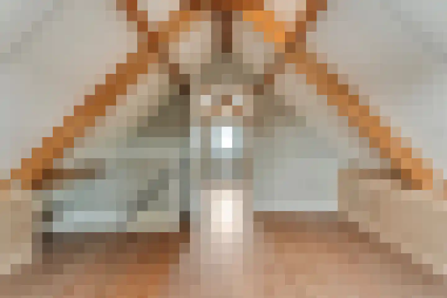Beentjesgravenland 4 Nieuwleusen thumbnail 43