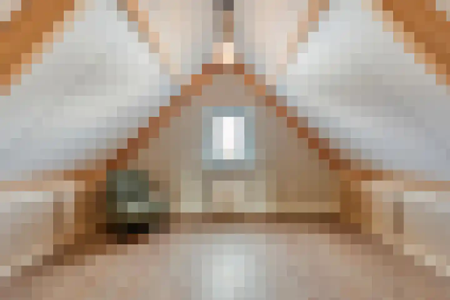 Beentjesgravenland 4 Nieuwleusen thumbnail 44
