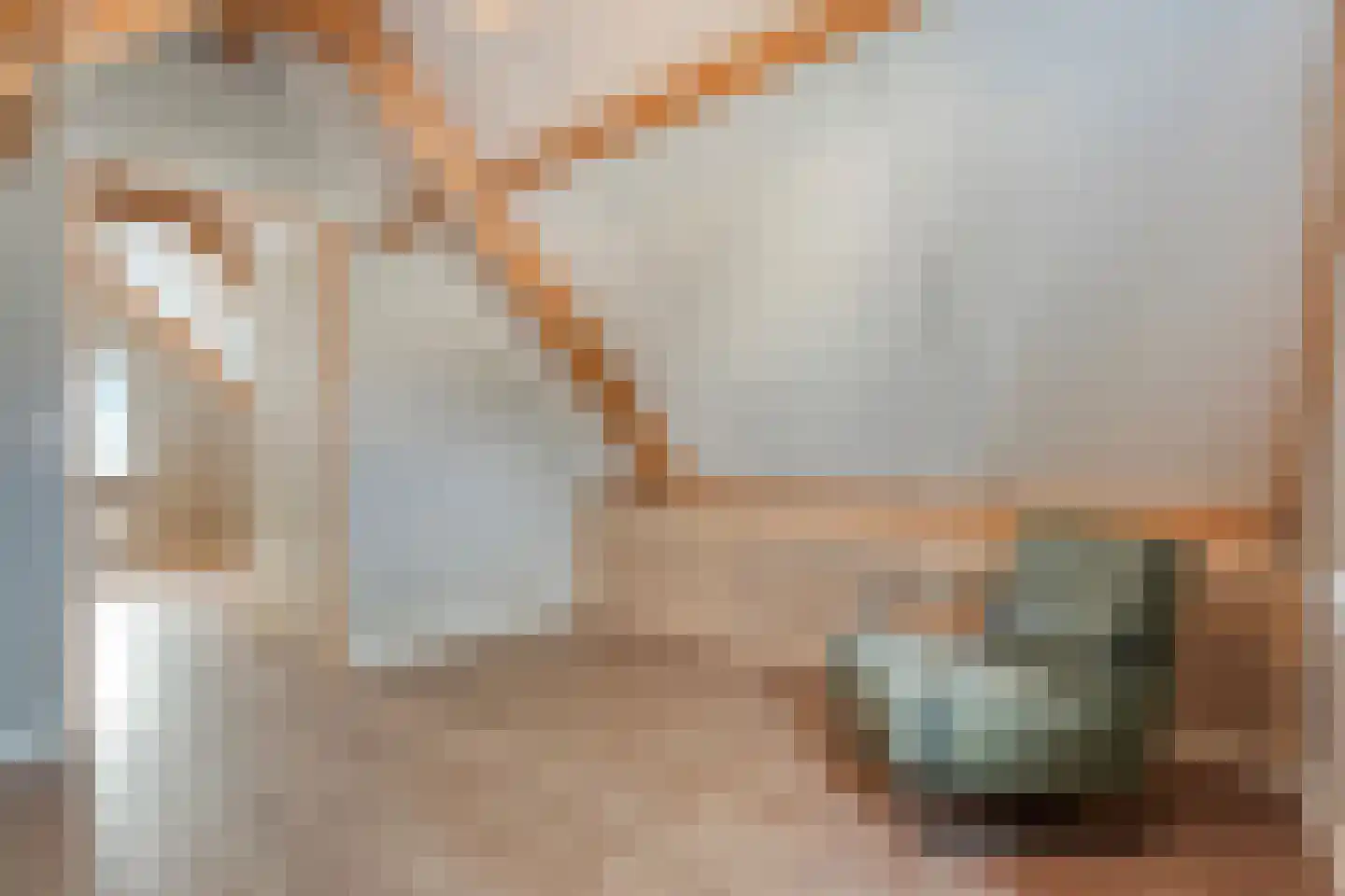 Beentjesgravenland 4 Nieuwleusen thumbnail 45