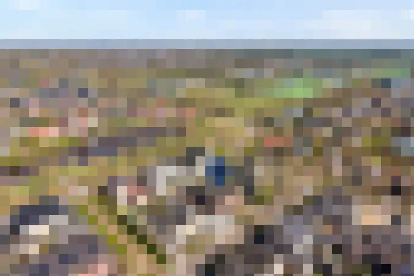 Beentjesgravenland 4 Nieuwleusen thumbnail 5