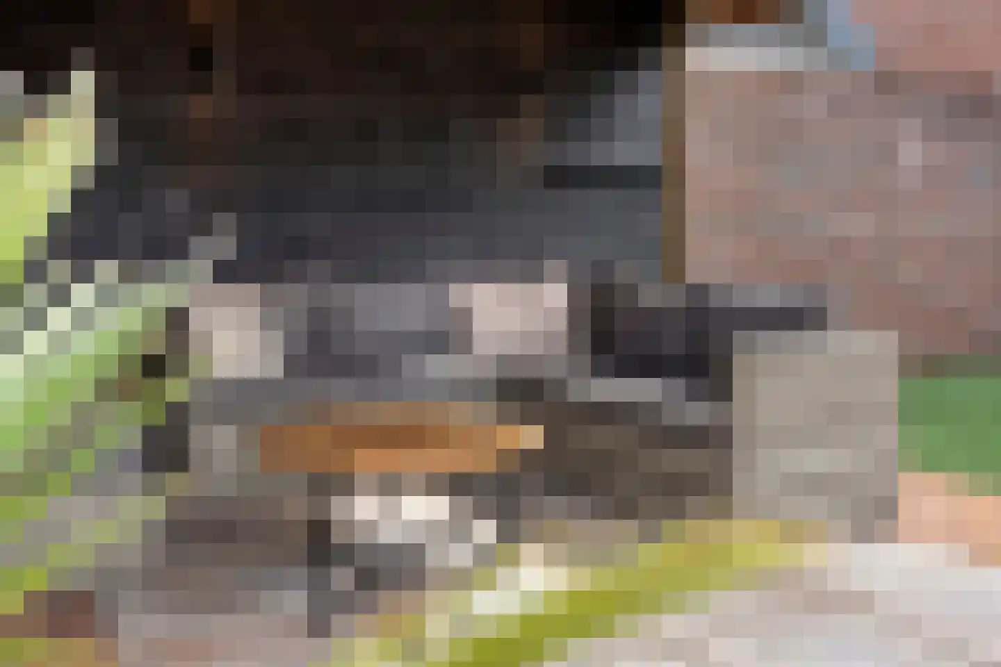 Beentjesgravenland 4 Nieuwleusen thumbnail 51