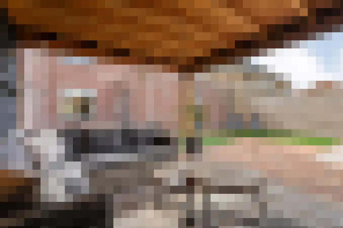 Beentjesgravenland 4 Nieuwleusen thumbnail 53