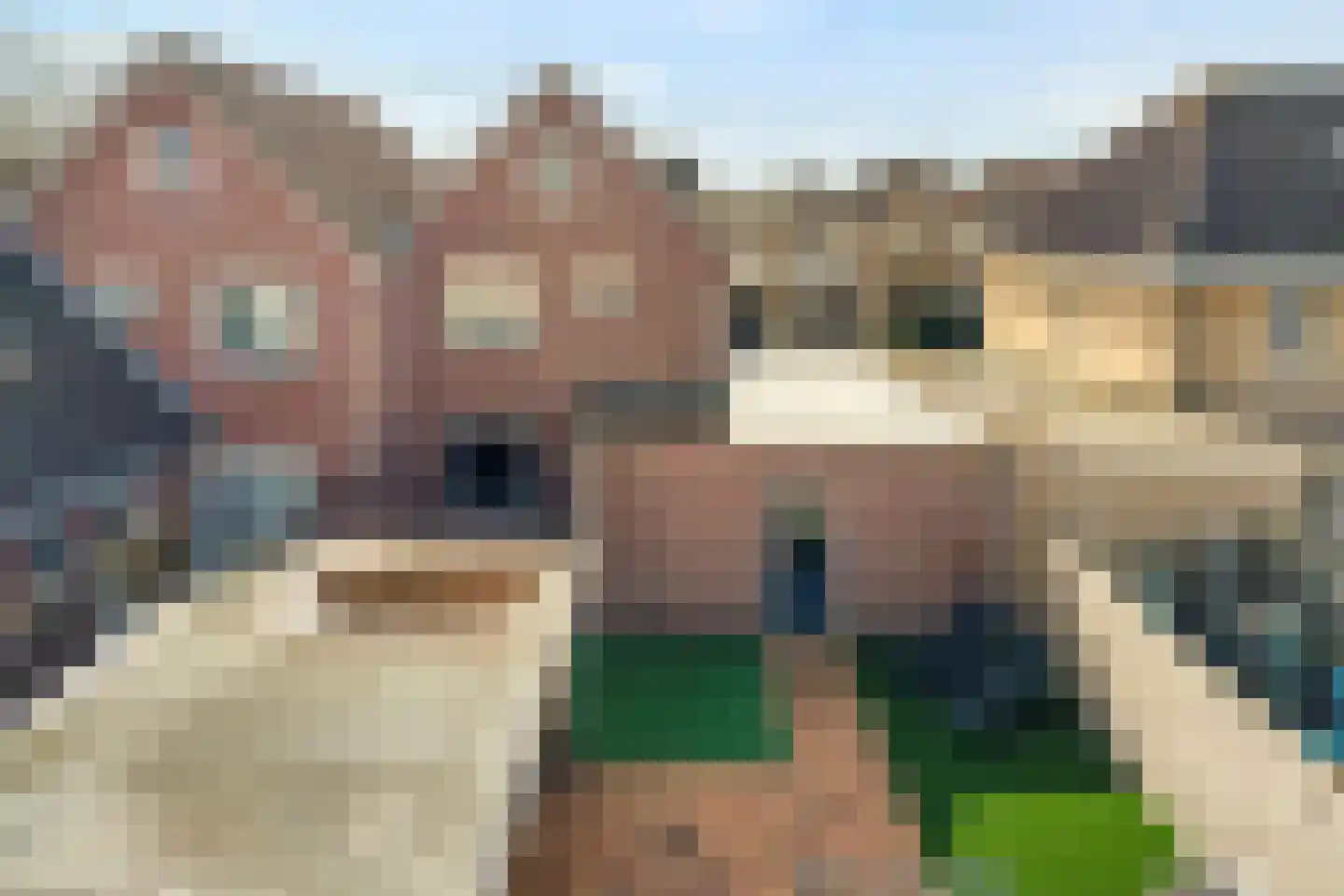 Beentjesgravenland 4 Nieuwleusen thumbnail 56