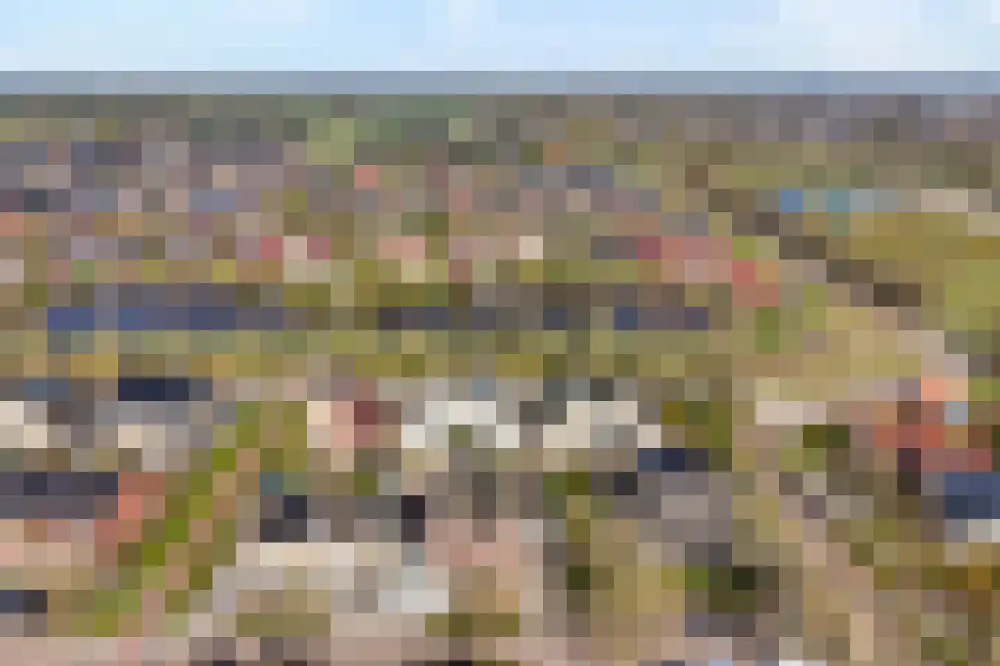 Beentjesgravenland 4 Nieuwleusen thumbnail 6