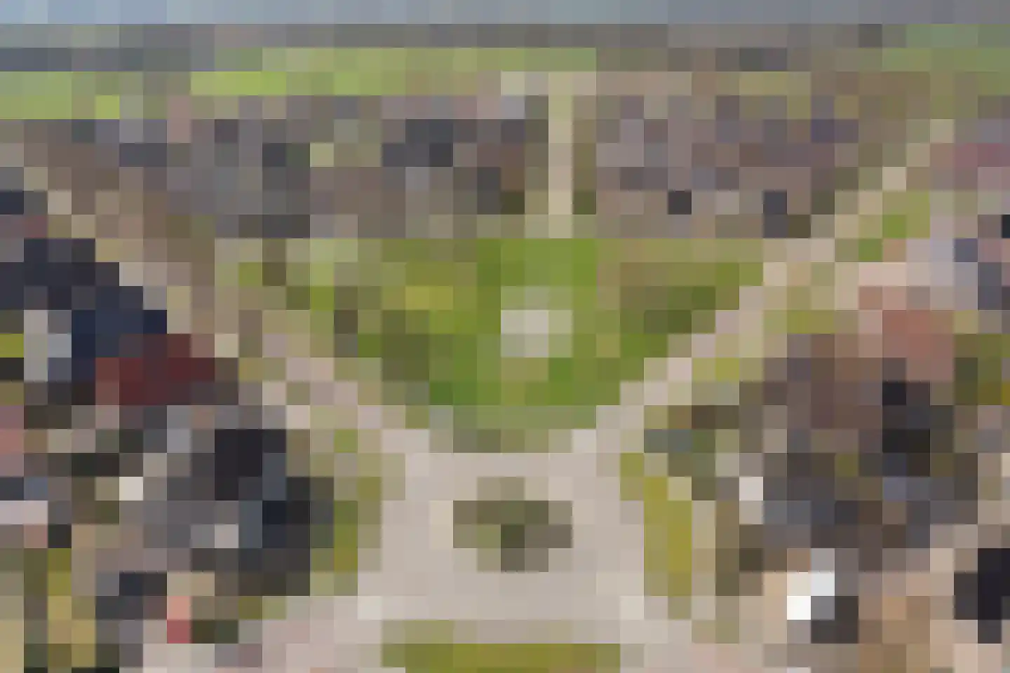 Beentjesgravenland 4 Nieuwleusen thumbnail 7