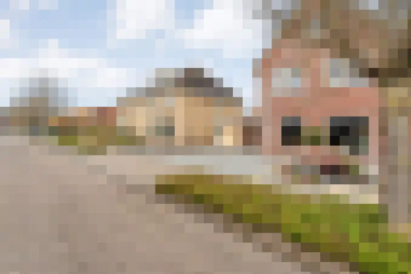 Beentjesgravenland 4 Nieuwleusen thumbnail 9