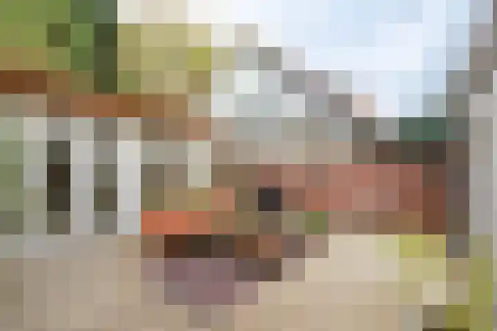 Beerensteinerlaan 26 Bussum thumbnail 33