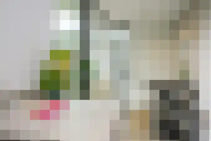 Beerensteinerlaan 33 Bussum thumbnail 13