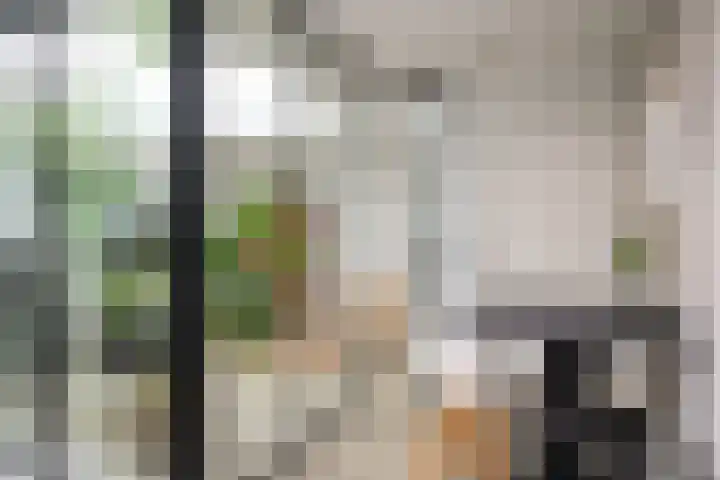Beerensteinerlaan 33 Bussum thumbnail 15