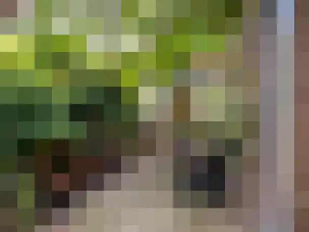 Beerensteinerlaan 33 Bussum thumbnail 16