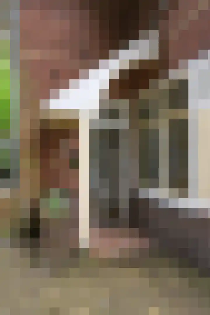 Beerensteinerlaan 33 Bussum thumbnail 29