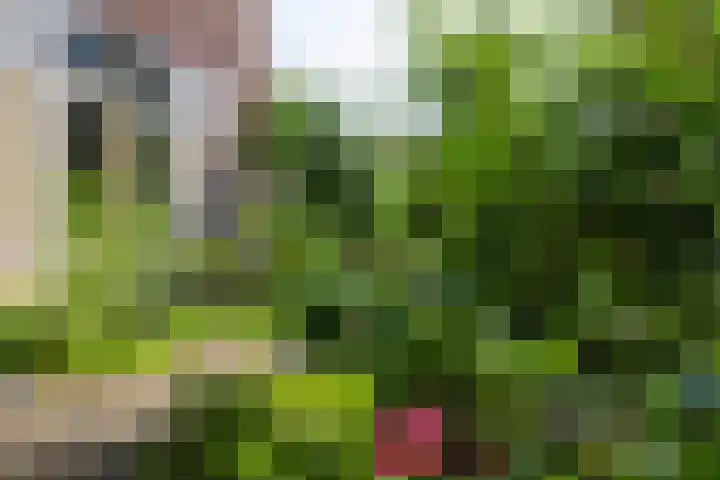 Beerensteinerlaan 33 Bussum thumbnail 30