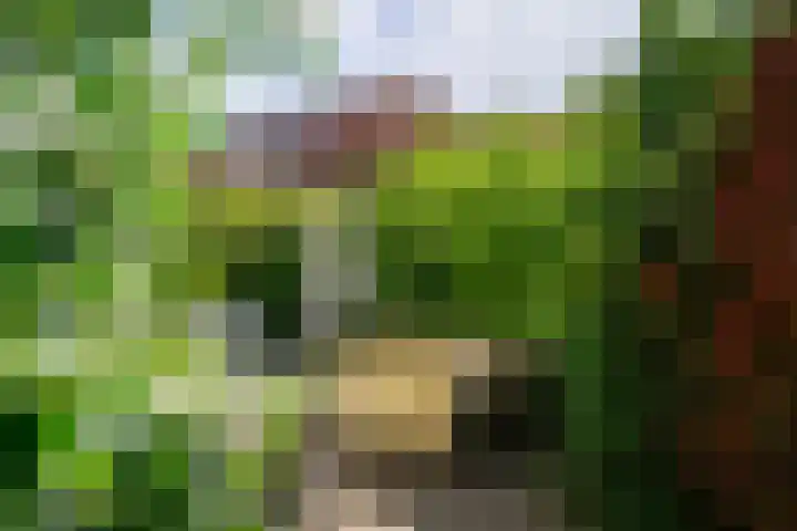 Beerensteinerlaan 33 Bussum thumbnail 31