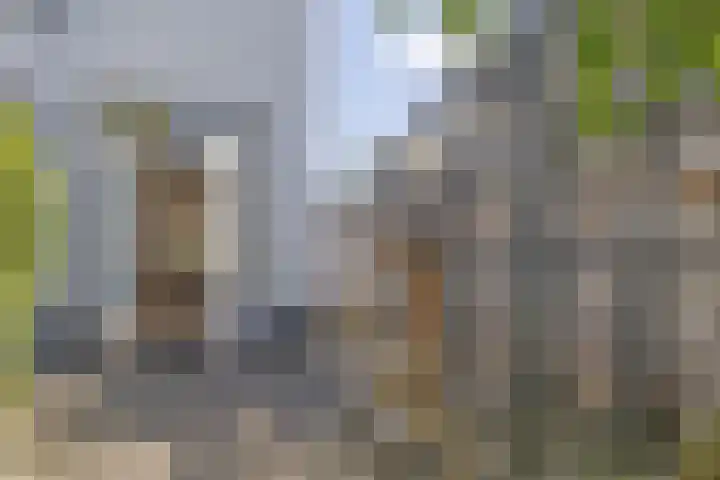 Beerensteinerlaan 38 Bussum thumbnail 29