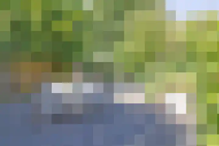 Beerensteinerlaan 38 Bussum thumbnail 31