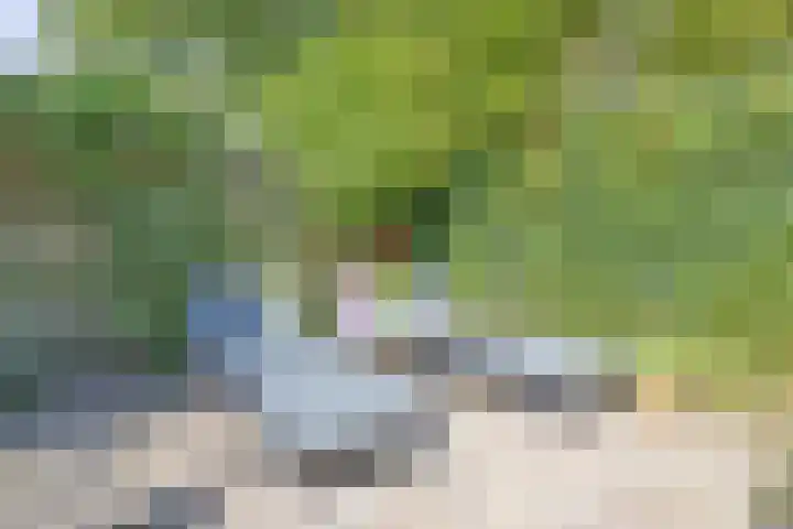 Beerensteinerlaan 38 Bussum thumbnail 32