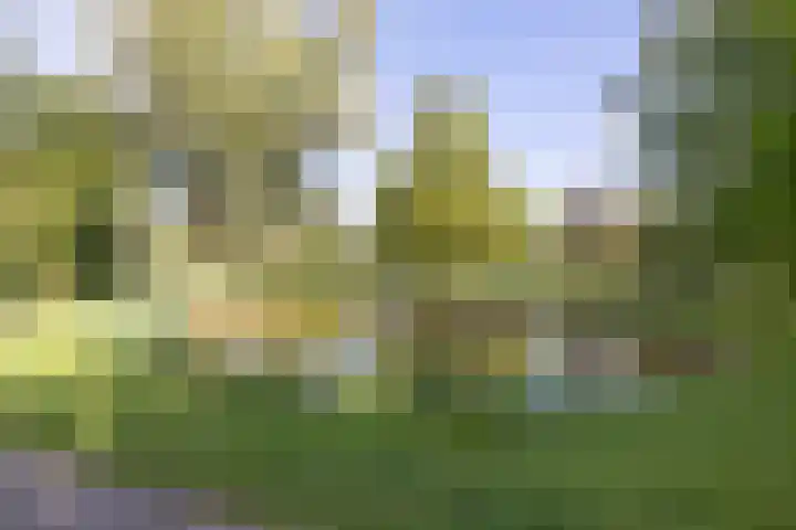 Beerensteinerlaan 38 Bussum thumbnail 33