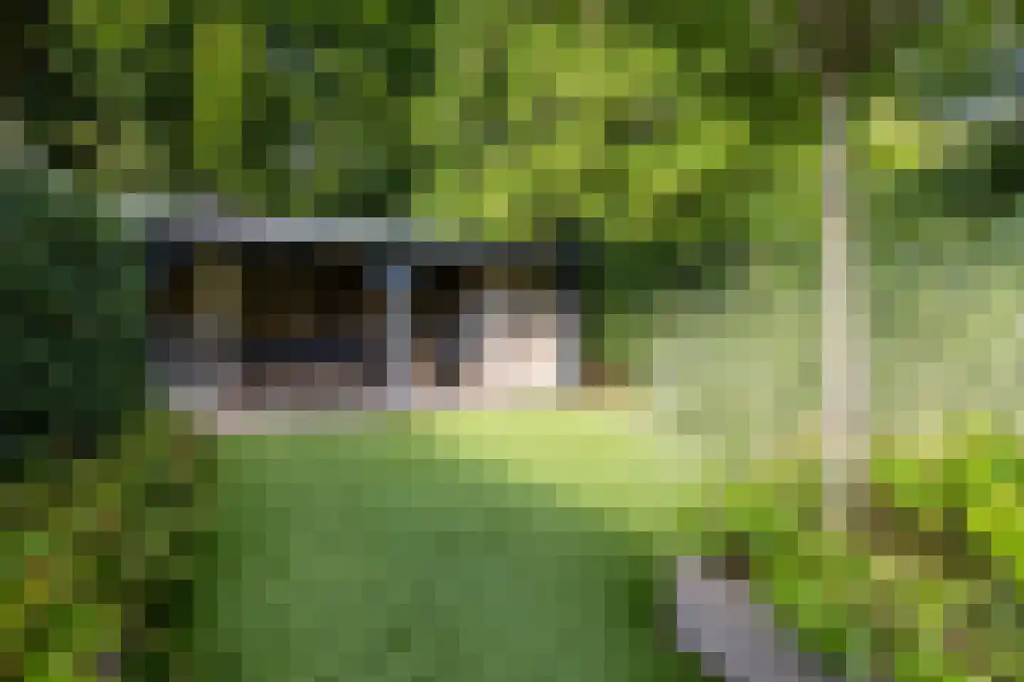 Beerensteinerlaan 46 Bussum thumbnail 35