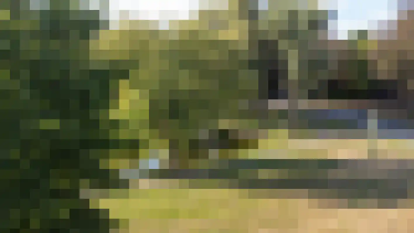Beerensteinerlaan 46 Bussum thumbnail 36