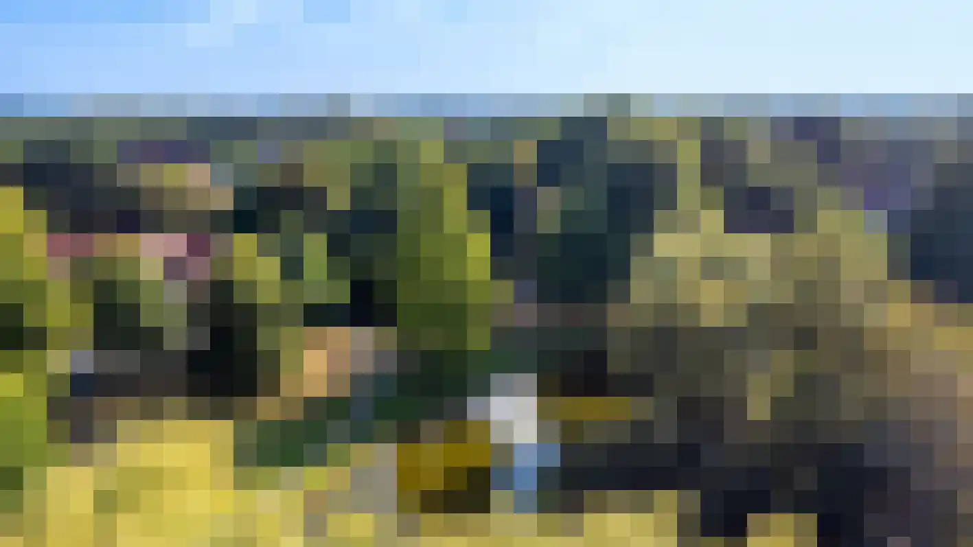 Beerensteinerlaan 46 Bussum thumbnail 37